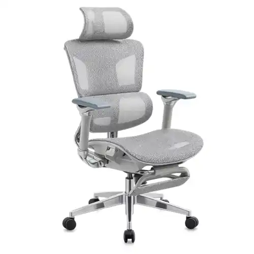 Gray ergonomic office chair A 2410 with adjustable armrests and headrest